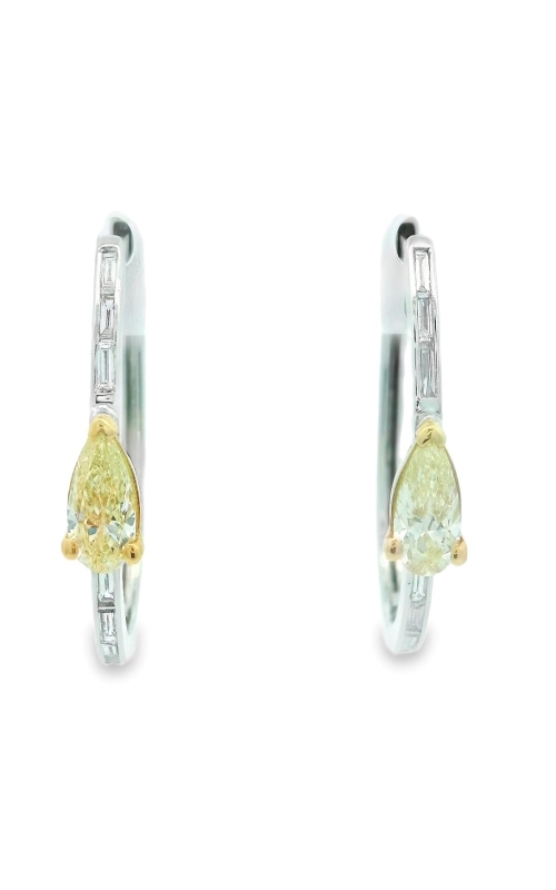 Frederic Sage Earring  ERA-YD219YW