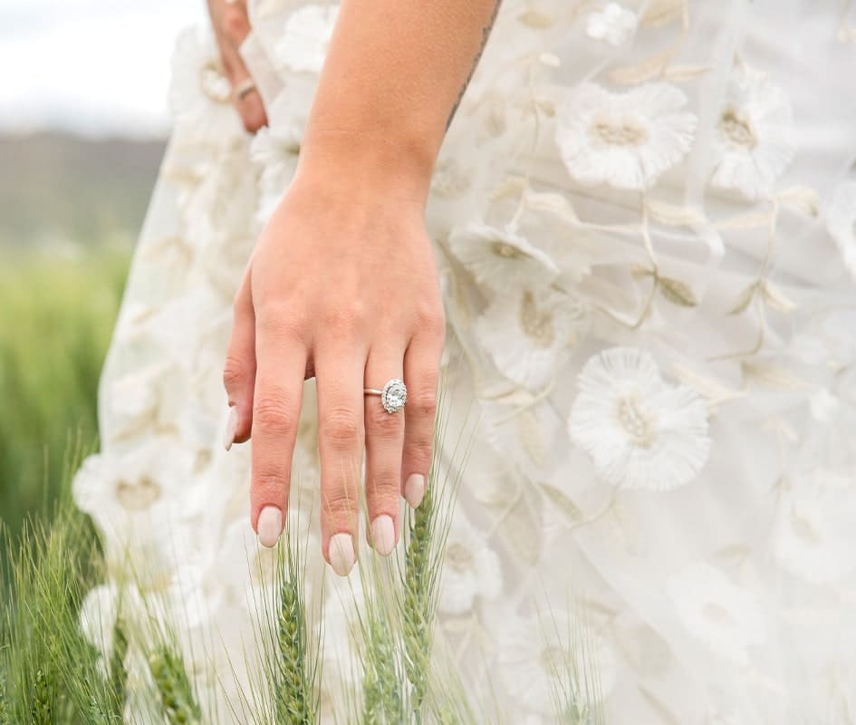 Discover Bridal Collection