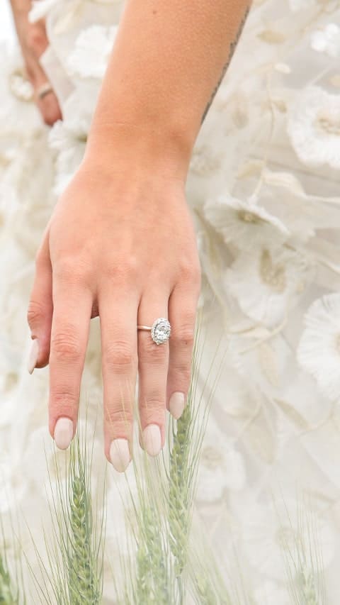 Discover Bridal Collection